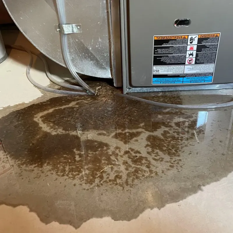 Pipe Burst and Leak Restoration in Cohoe, AK
